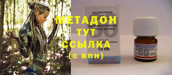 прущие грибы Аркадак