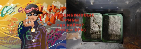 винт Алзамай