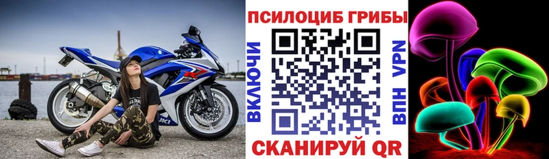 купить наркотики сайты  мориарти состав  мега зеркало  Галлюциногенные грибы Psilocybe  Билибино 